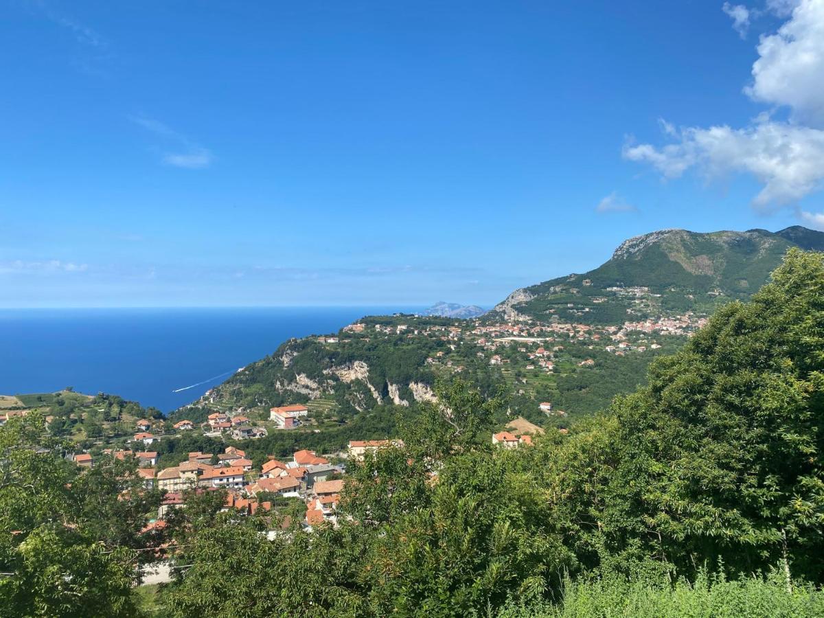 B&B Villa Reginella Agerola Exteriér fotografie