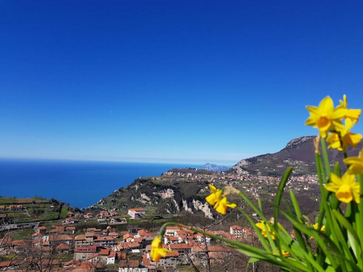 B&B Villa Reginella Agerola Exteriér fotografie